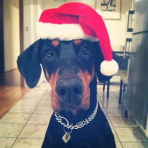 Inga var að sprella