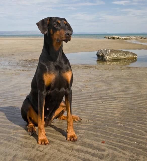 Ljósm. Brynjar Ágústsson 2009