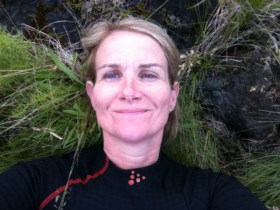 Rosa rosa gott að liggja í mosa