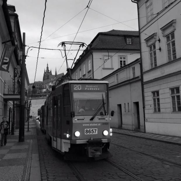 12662432_1243715535645065_910818331177259886_n