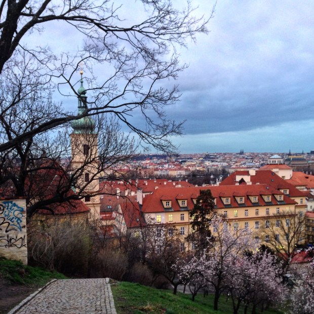 25695288912_45634b5ea8_o