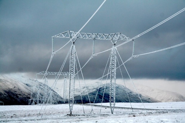 ising_haspennumastur_stor