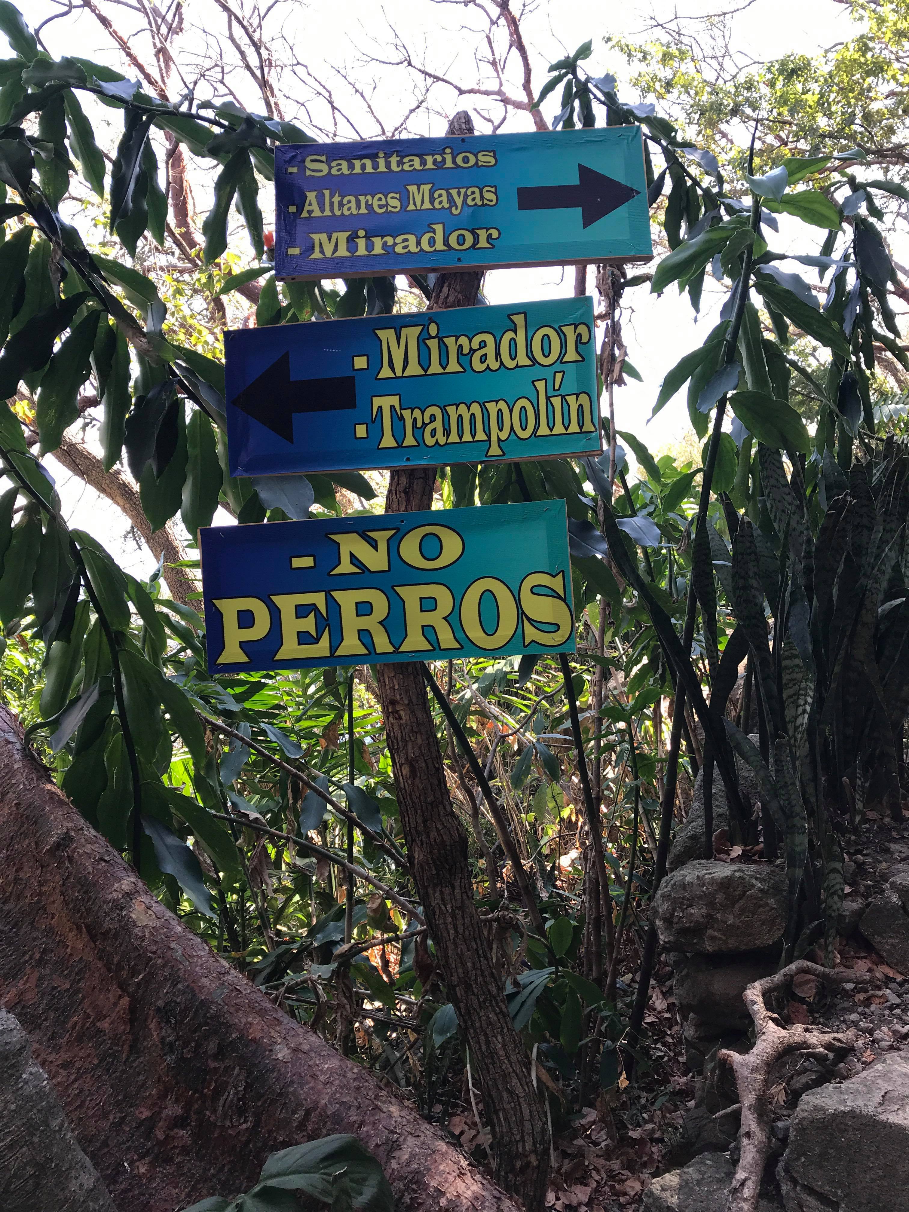 27267111_811736115684657_950418684_o