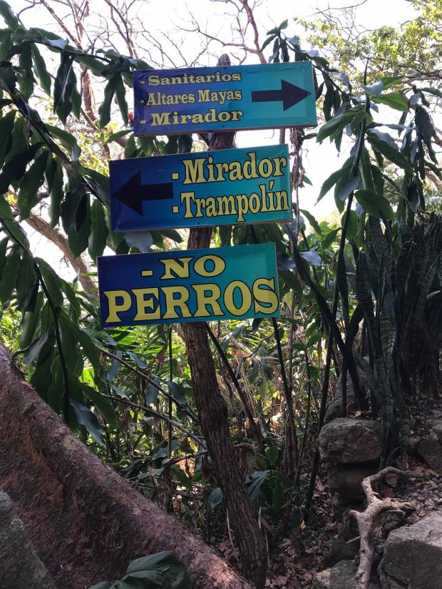 27267111_811736115684657_950418684_o