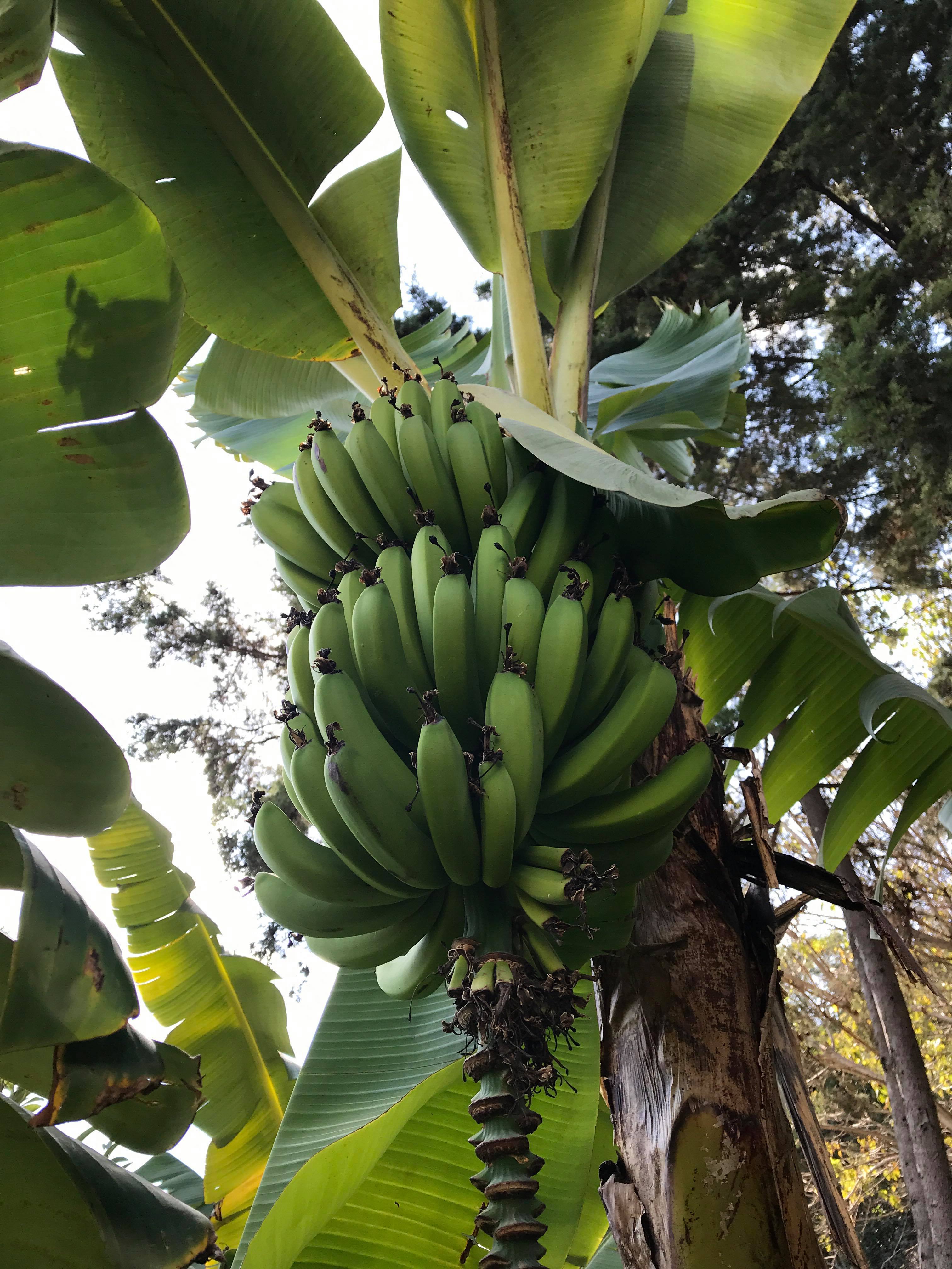 27330298_811736362351299_2083112724_o