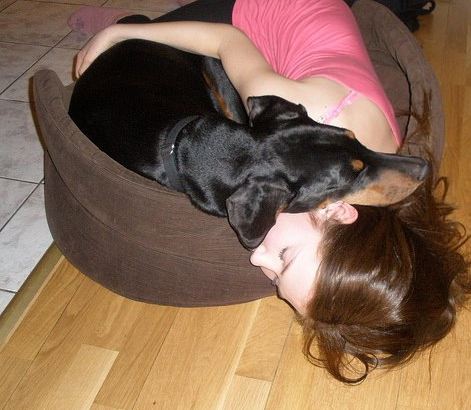 22792460955_fdbb3105f3_z