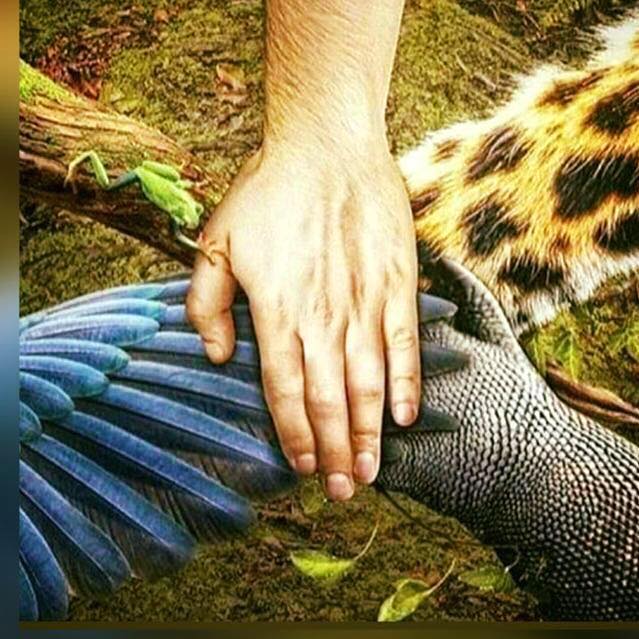 70589522_10157915488666264_4995919784206925824_n