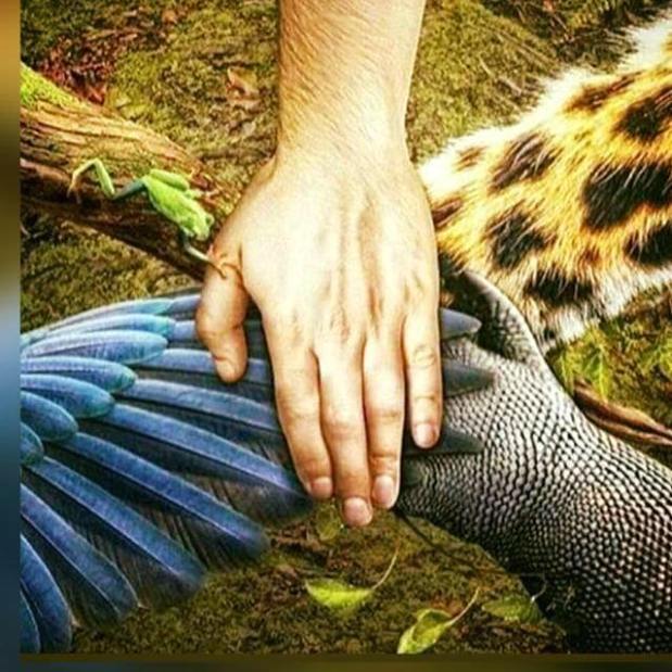 70589522_10157915488666264_4995919784206925824_n