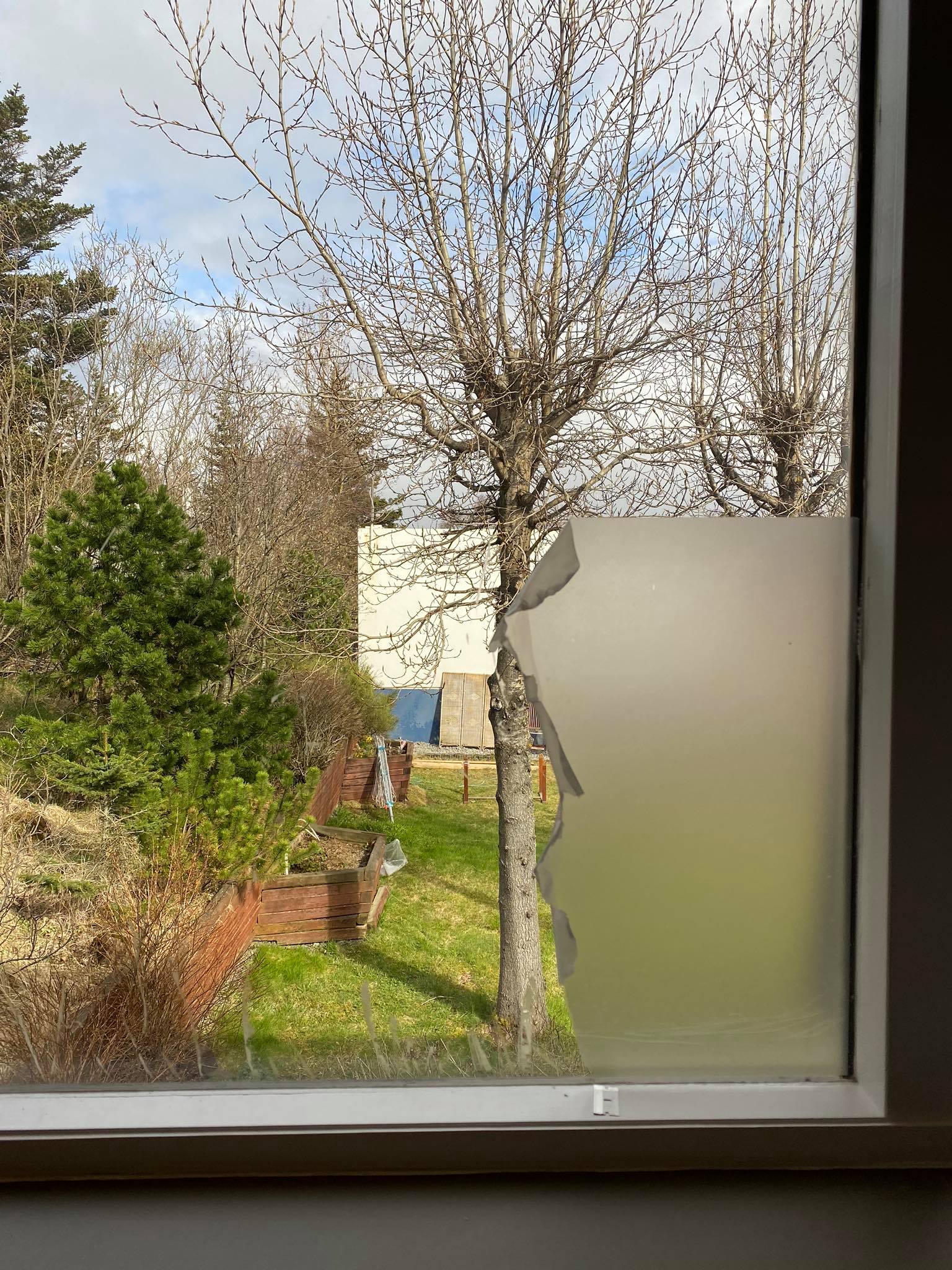 105035813_1750414355100944_6896248355722524026_n