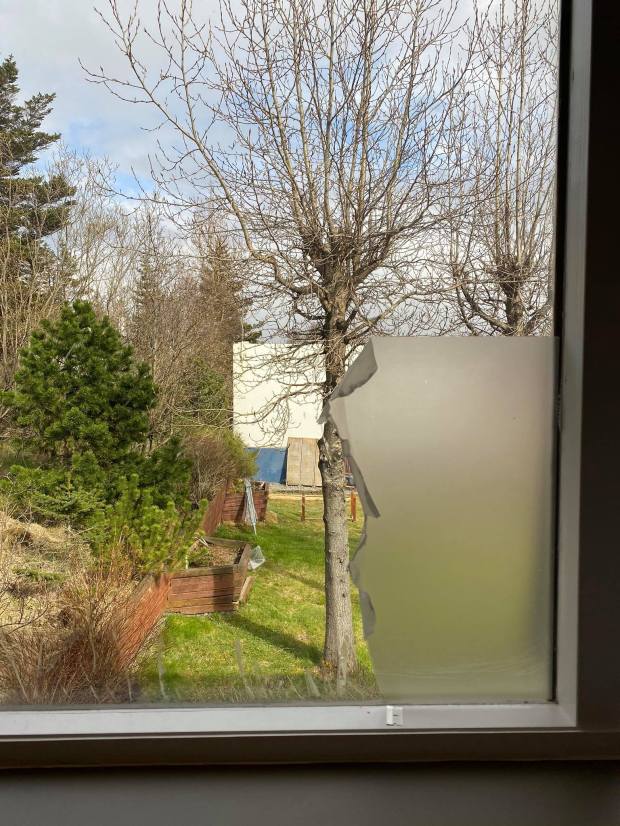 105035813_1750414355100944_6896248355722524026_n