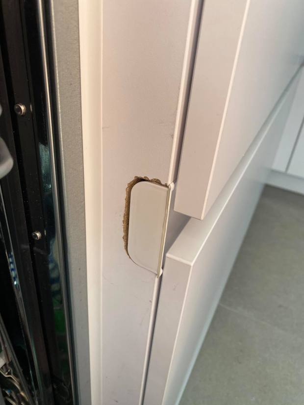 106497565_2590310361233287_3494252453212689239_n