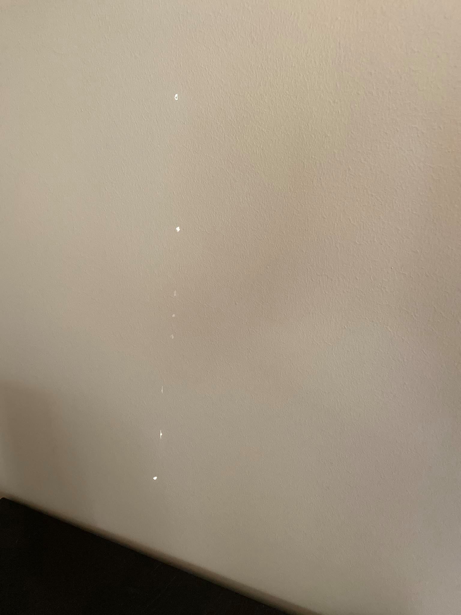 106579888_3101548536600690_3148916945455166006_n