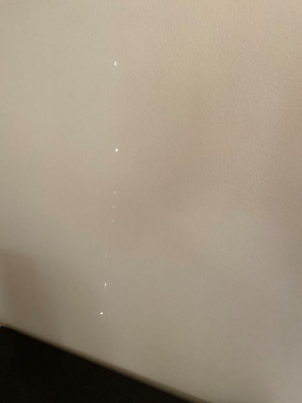 106579888_3101548536600690_3148916945455166006_n